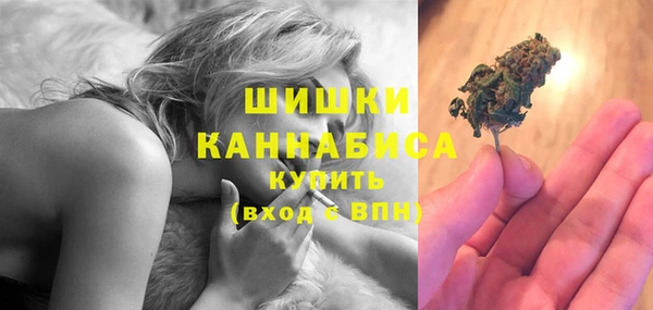 экстази Бородино