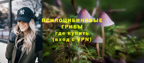 не бодяженный Верхний Тагил